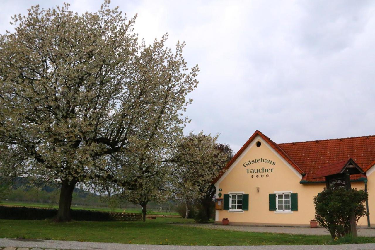 Gastehaus Taucher Bad Blumau Dış mekan fotoğraf